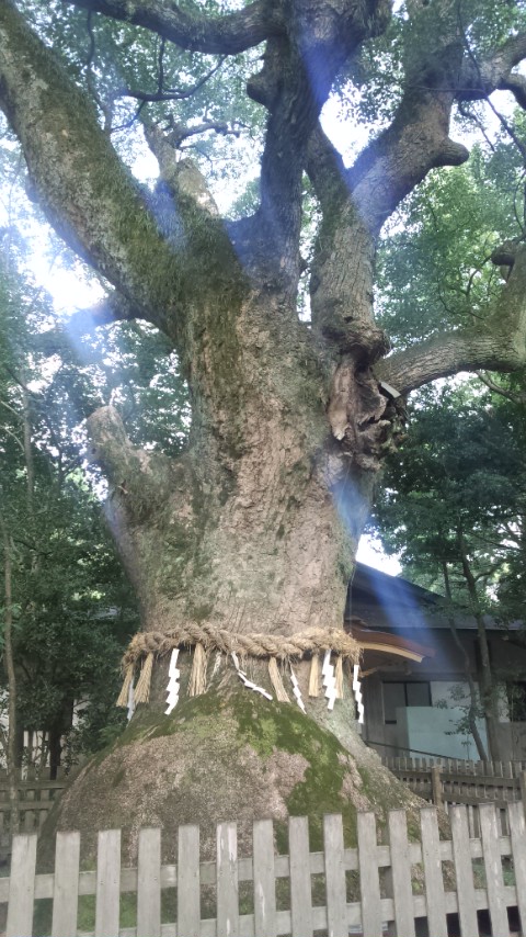 熱田神宮で必勝祈願と