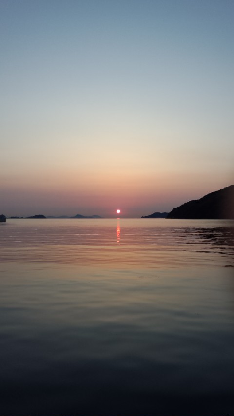 太陽の光を浴びて