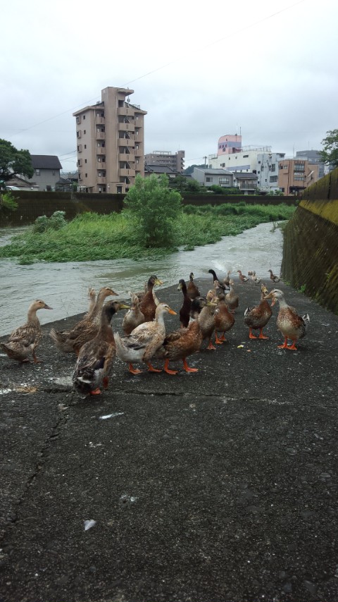 人吉水天宮