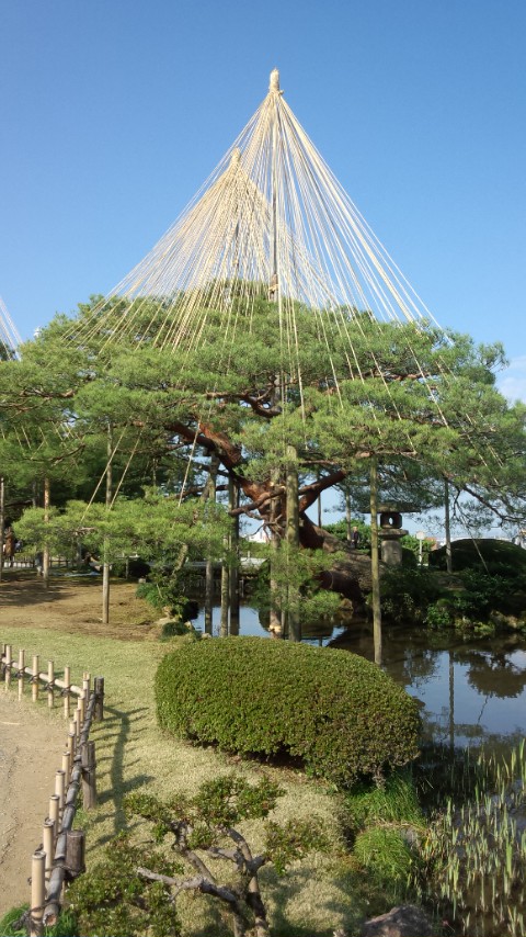 石川県から岐阜県へ